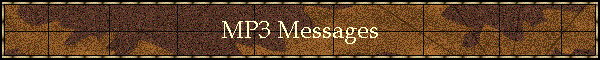 Real Audio Messages
